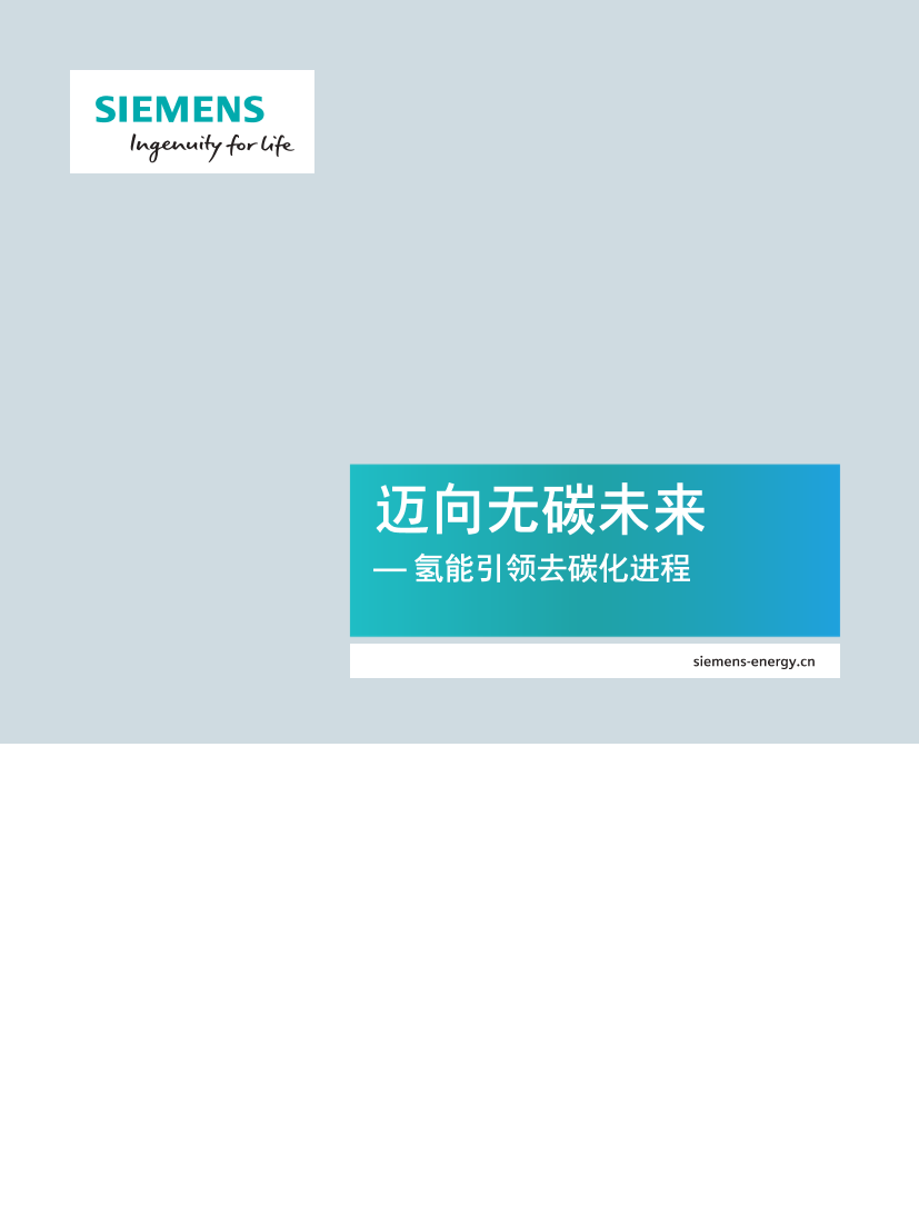 迈向无碳未来 — 氢能引领去碳化进程-西门子-2021-24页迈向无碳未来 — 氢能引领去碳化进程-西门子-2021-24页_1.png